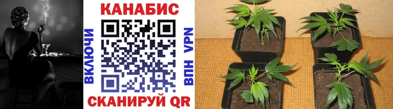 Как найти закладки Киреевск БУТИРАТ  Кокаин  Мефедрон  Конопля  А ПВП 