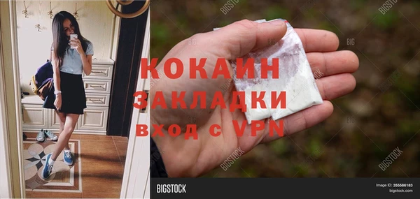 винт Алзамай