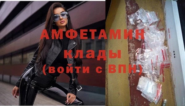 винт Алзамай