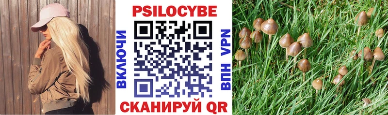 сколько стоит  Киреевск  Галлюциногенные грибы Cubensis 